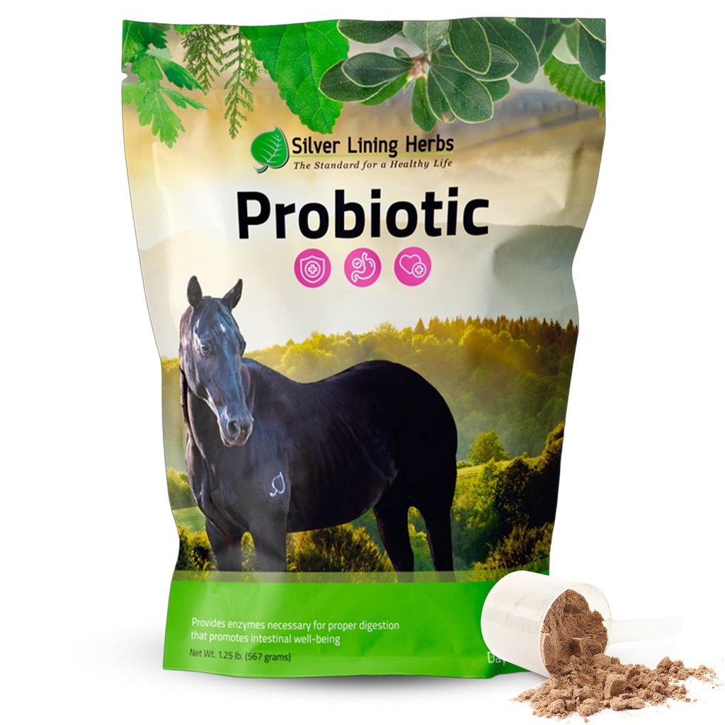 Silver Lining Herbs Horse Probiotics Digestive תוספי מזון - תוספי מזון בריאות Probiotic for Horses - מכיל 13.2 מיליארד CFUs Probiotic Strains - 1.25 lb 60-Day Supply