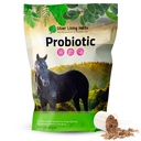 Silver Lining Herbs Horse Probiotics Digestive תוספי מזון - תוספי מזון בריאות Probiotic for Horses - מכיל 13.2 מיליארד CFUs Probiotic Strains - 1.25 lb 60-Day Supply