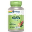 SOLAרי ג'ינג'ר Rootmg | בריאות עיכול, מפרקים ותנועה & Stomach Discomfort Support