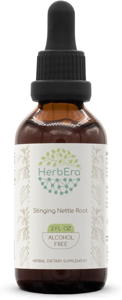 HerbEra Sting Nettle Root B60 אלכוהול חינם Herbal לחלץ Tincture, excentrated נוזל טיפות טבעי Sting Nettle (Urtica Dioica) 2 fl oz