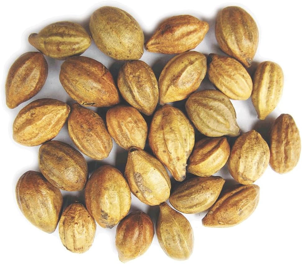 Naturals Terminalia Chebula | קדיקוקאי | Inknut | Haritaki Indian Origin Herbs (200g(7 oz)
