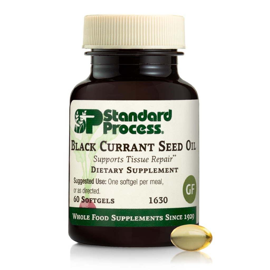 מעבד סטנדרטי Black Currant Seed Oil - תמיכה ב- Blood Flow & Health - מסייעות למערכת החיסון בריאה - Natural Tissue Care - Gluten-Free - 60 Softgels (60 משרתים)