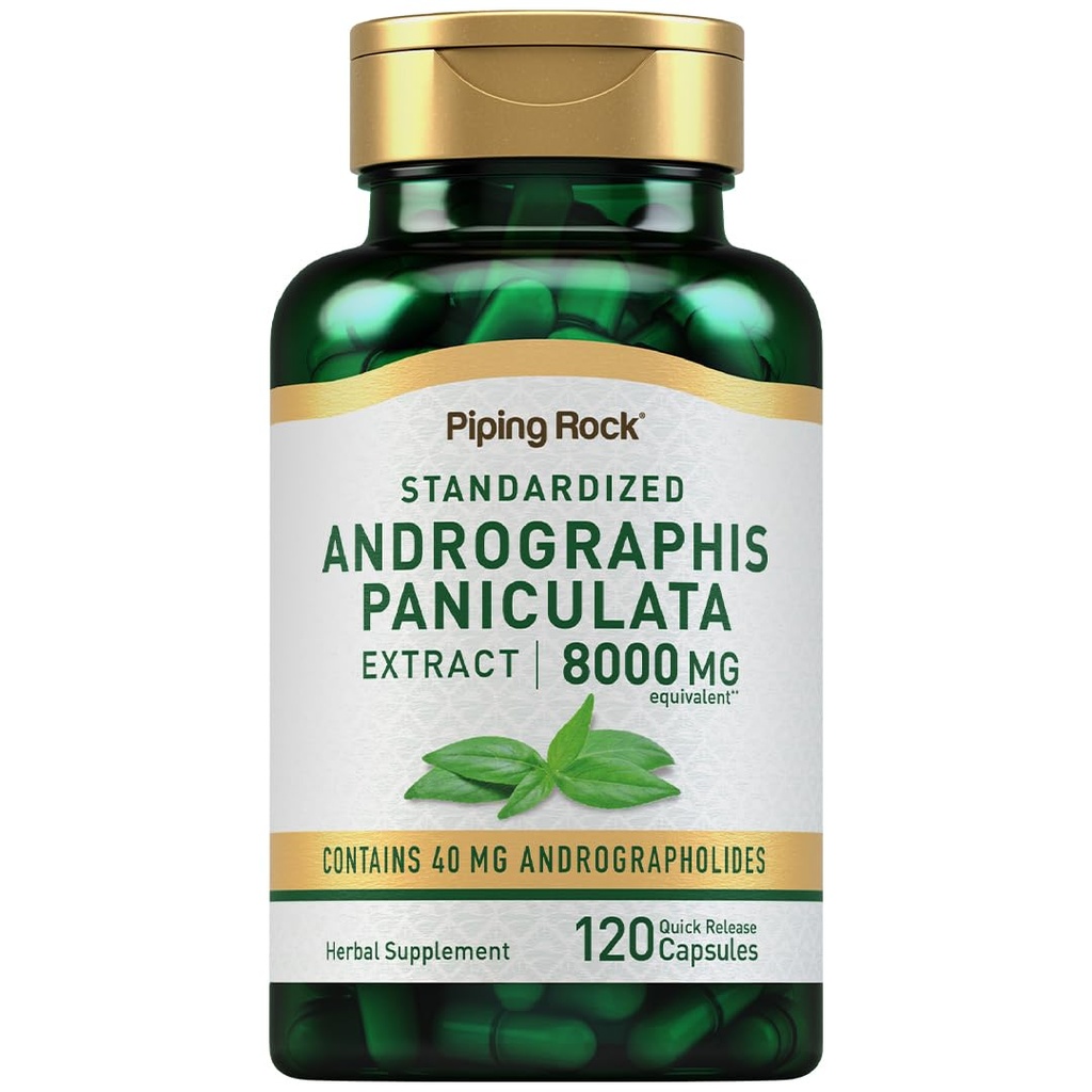 Piping Rock Andrographis Paniculata לחלץ | 8000 מ"ג | 120 קפסולות | תקן Herbal תוסף | Non-GMO, Gluten Freeten Freeten