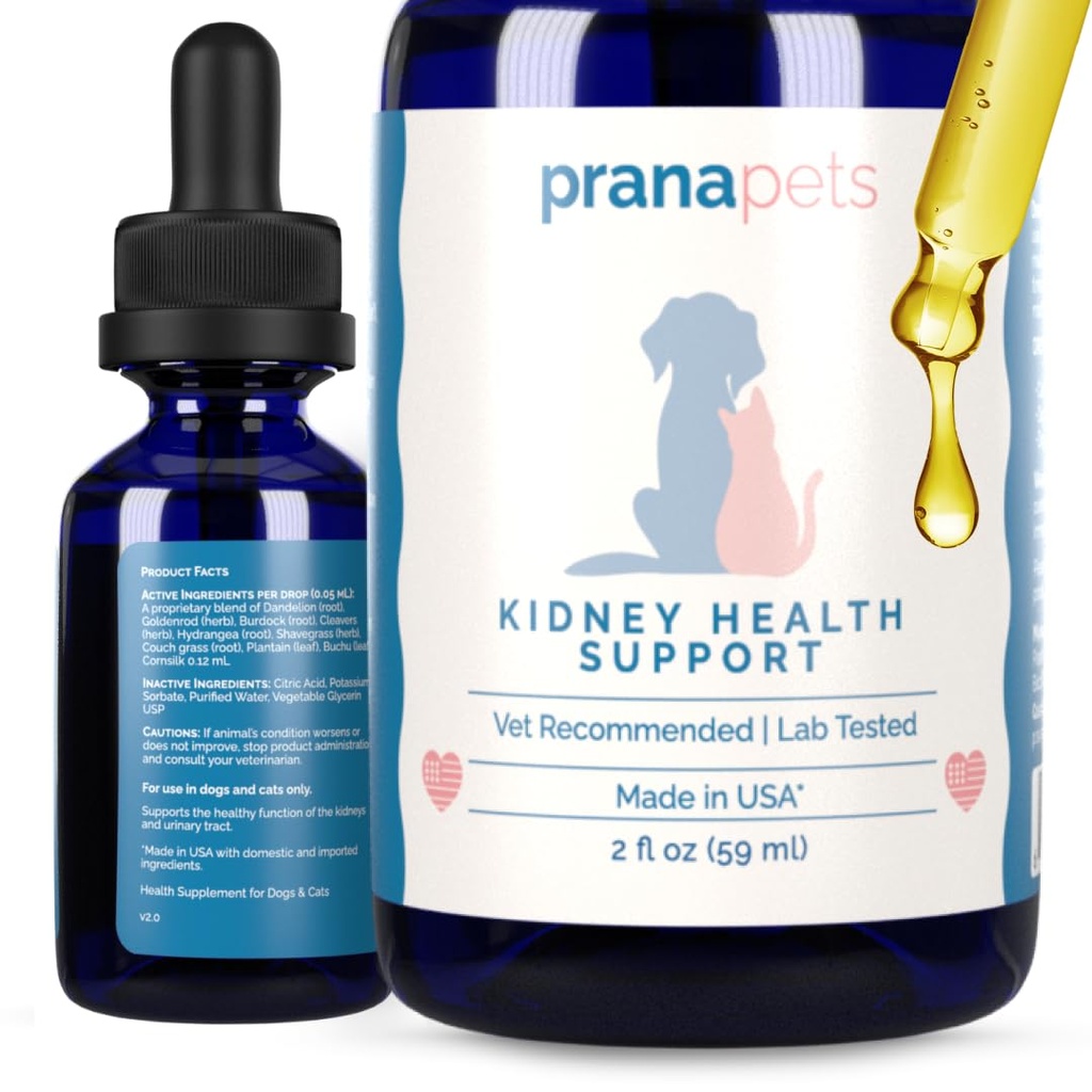 Prana Peters Kidney Health תומך בחתולים | באופן טבעי תומך בתפקוד קידני בריא בחתולים | Herbal Formula עוזר דלקת ותסמינים של בעיות Kidney