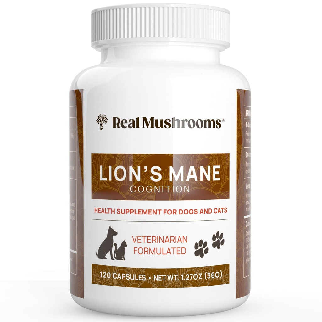 Real Mushrooms Lion's Mane Pet Mushroom תוסף - Pet WellBeing כמוסות - עבור Cat & Dog תוסף ווויטמינים - תמיכה ב-Raoutines - אורגני, טבעוני, non-GMO, Count 120