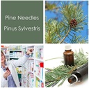 HPDC+ Health & Nutrition Pine Needles Natural Liquid Extractincture גבוה ויטמין C, bioflavonoids, נוגדי חמצון, Acid shikimic (100ml / 3.38 fl oz)