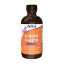 עכשיו תוספי מזון, CoQ10 נוזל, 100 מ"ג ל Teaspoon, עם ויטמין Co-enzyme B, Sweetened עם Xylitol, 4Ouncececeoon, עם ויטמין Co-enzyme B, Sweetened עם Xylitol, 4