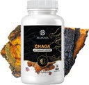 Chaga Mushroom Gummies - Antioxidant Immune תמיכה תוספת - תוספת דיאטה Mushroom - 60 מסטיק - Made בארה"ב - Shrooms for Health - אורגני טבעוני Frendlylyly