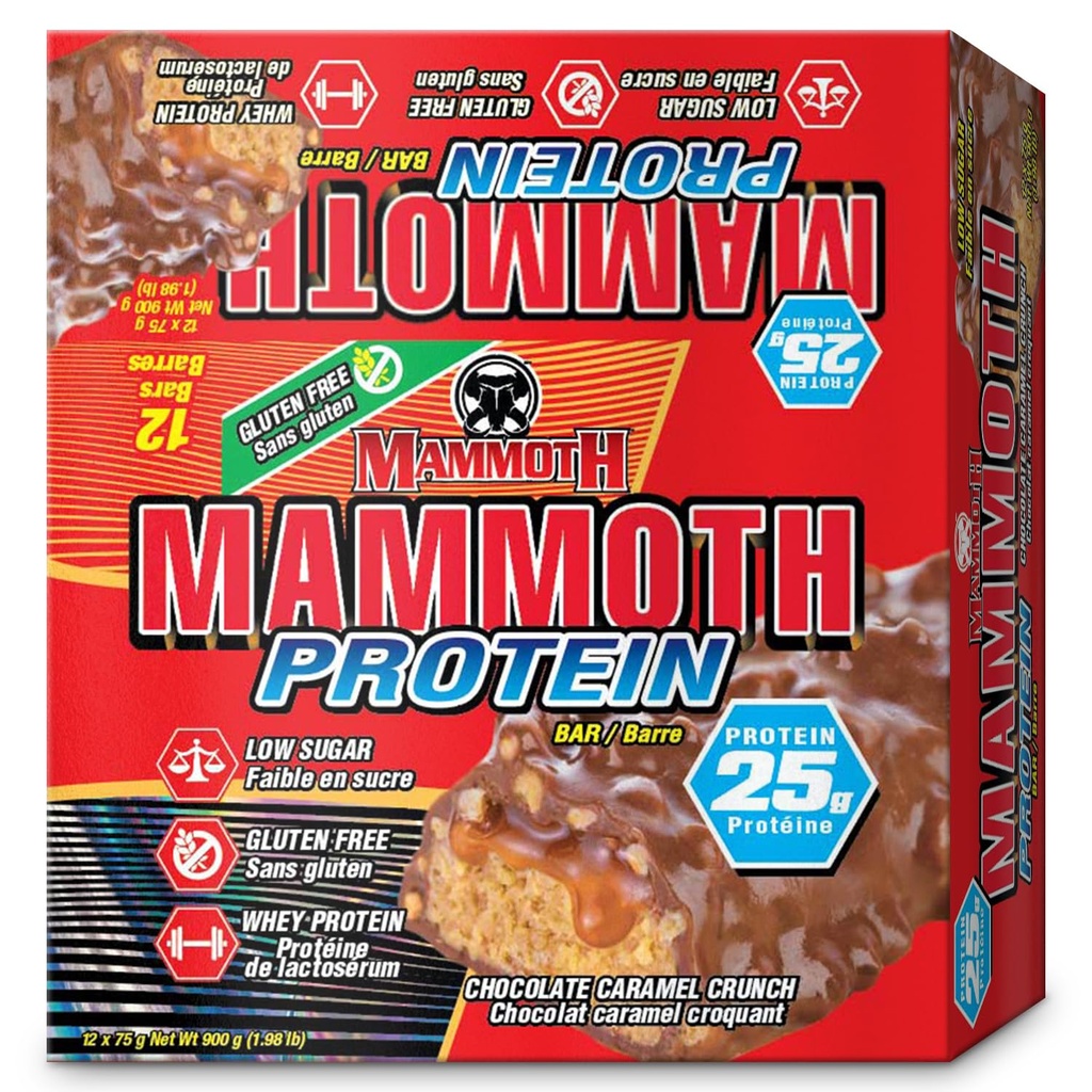 MAMMOTH חלבון Bar, Chocolate Peanut Butter Crunch, 25 גרם חלבון, סוכר נמוך, נמוך פחמימות, Gluten חינם, 12 x 65g (12 Count) (Choate Peanut Butter Crunch) (12 Count, Chocolate Karamel Crunch)