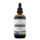 סודות של השבט Muira Puama Tincture אלכוהול חינם לחלץ, Muira Puama (Ptychopetalum Olacoides) Dried Bark (4 FL OZ)