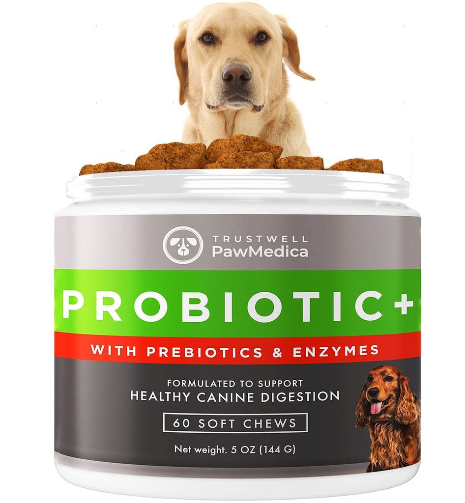 כלב PawMedica Probiotics ו Enzymes Digestive Enzymes, פרוביוטיקה לכלבים המיוצרים בארה"ב, Pet Probiotic Chews for Dogs, Prebiotics & Probiotic Dog Support, Probiotic Treats - 60 כלבים פרוביוטיים צ'ws