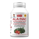 ANDREW LESSMAN ALA + NAC Alpha Lipoic Acid עם N-Acetyl-Cysteine 360 קפסולות - Ultra-High Potency, תמיכה אנטי-Oxidant עבור מערכת העצבים, הלב, המוח, Liver, Kidneys, Lungs, אנרגיה. אין תוספת