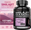 All-in-One Sea Moss, Shilajit, Ashwagandha & Glutione תוסף לנשים, Boosts Energy, 60 קפסולות