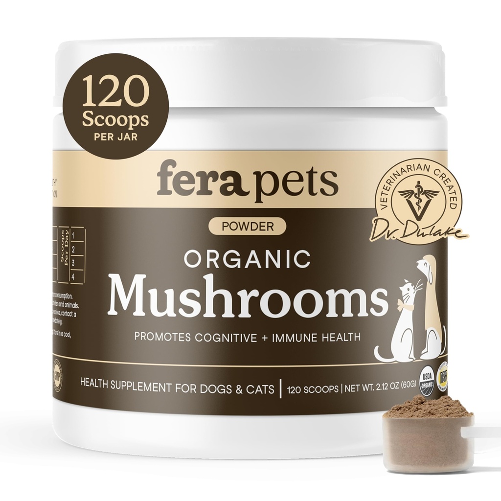 פרה חיות Mushroom תוסף לכלבים וחתולים עם טורקיה Tail - USDA אורגני - קוגניטיבית ו Immune Support - שיפורים Liver function - תומך ב- Gut בריא - אבקה - 120 סקופים