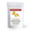 Addictive Wellness Reishi Mushroom אבקת + Spores (50/50 בלנדר) Wood Grown Pure & Potent Wildated Ganoderma (100 גרמות)