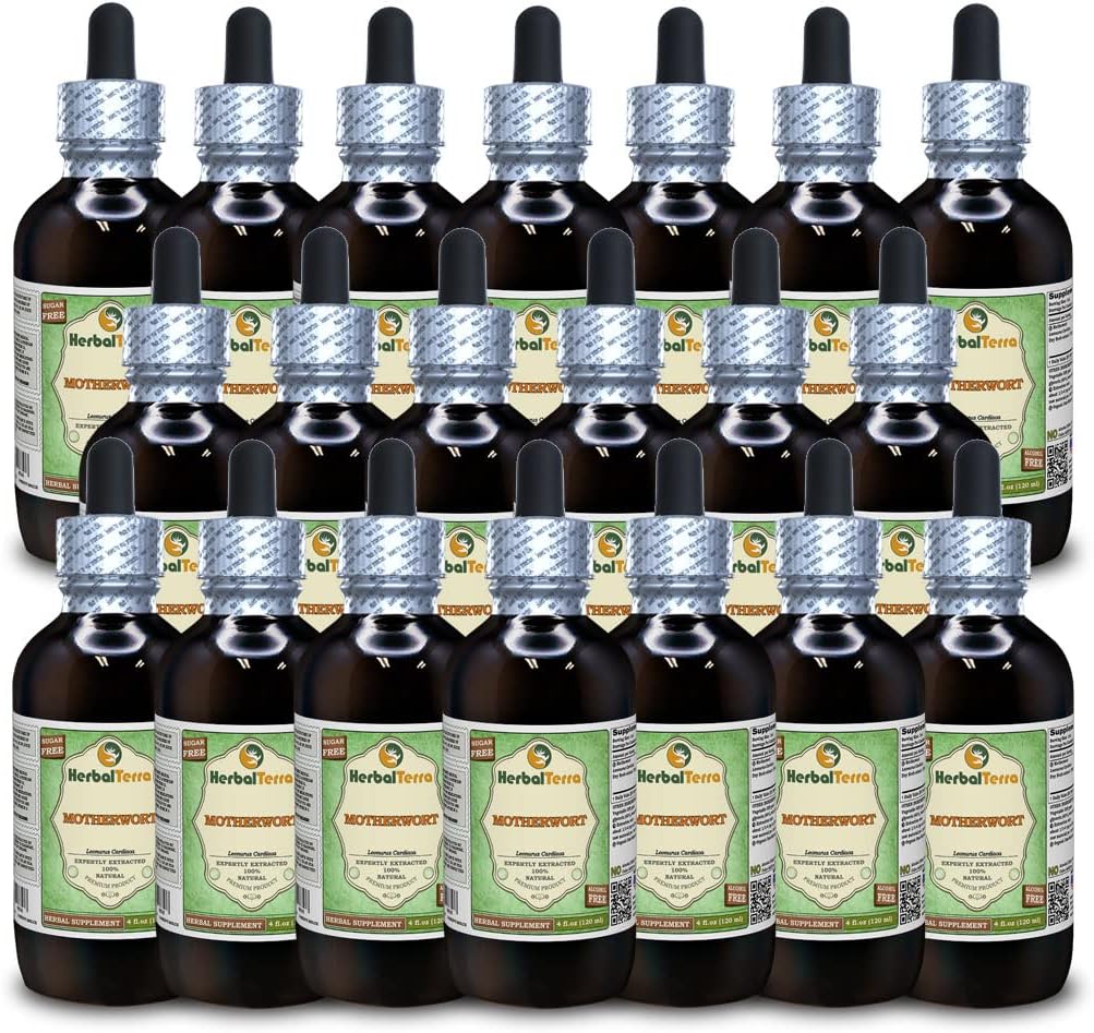 Motherwort (Leonurus Cardiaca) Glycerite, Organic Dried Herb Alcohol-Free Liquid Extract (Brand Name: HerbalTerra, Proudly Made in USA) 20x4 fl.oz (20x120 ml)