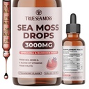 TrueSeaMos Irish Sea Mos Drops - 5X Stronger Than Sea Moss Gel - 92+ Essentials מינרלים - עם אבקת Spirulina, Burdock Root & Black Cumin - 2 Fl Oz (60 מ"ל) - Strawberry Flavor
