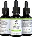 Premium Organic אורגון Grape Root Tincture - מזון ללא אלכוהול, 1oz | Herbal Support