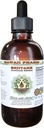 Shiitake פוליזל ללא אלכוהול, אורגני Shiitake (Lentinula Edodes) Dried Mushroom Glycerite טבעי צמחי מרפא, הוואי Pharm, ארה"ב 2 fl.oz