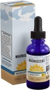 Nascent Iodine אורגני בריאות יומית תוספת גבוהה של 2% ריכוז של נוזל Iodine טיפות תמיכה אנרגיה ומטבוליזם (1oz / 30 מ"ל)