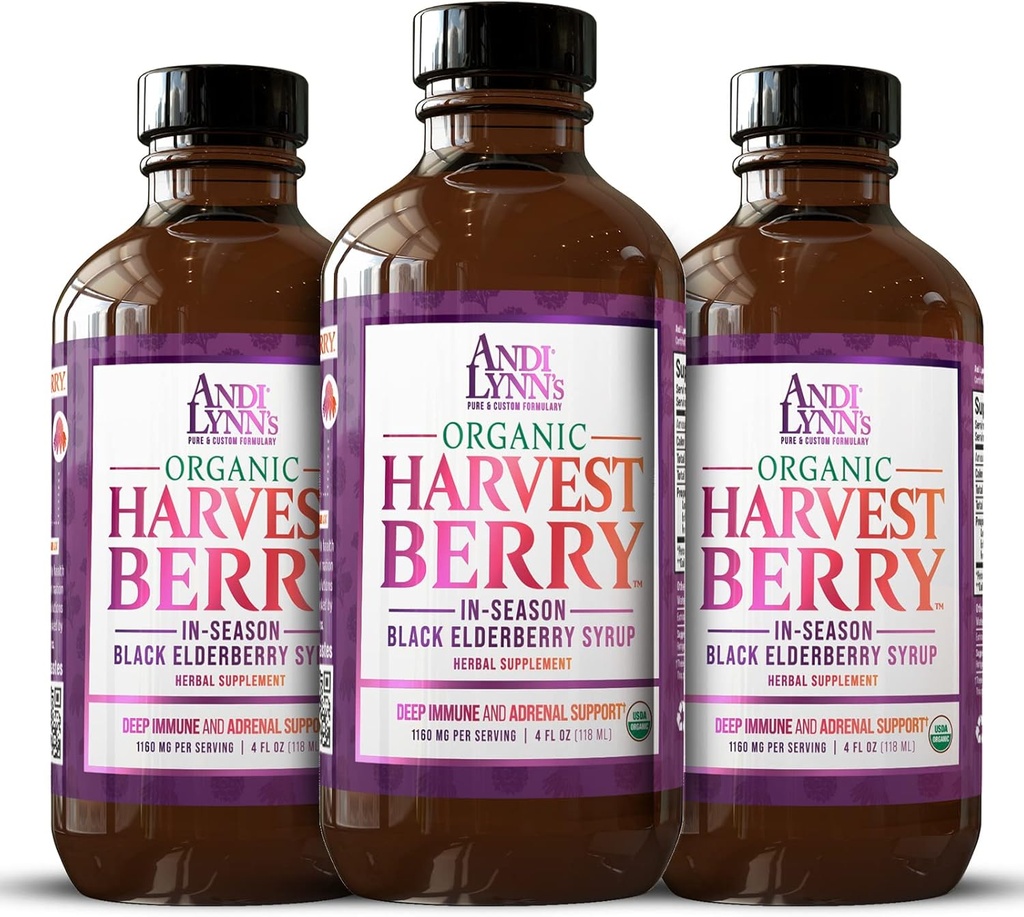 Andi Lin's Organic Harvest Berry Syrup for Kids and Adults - Real Honey Elderberry Syrup for Immune Support - פורמולה טיפולית - 4 Fl. Oz (Pack of 3)