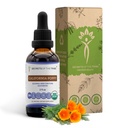 סודות של השבט קליפורניה פופי Tincture אלכוהול חינם לחלץ, USDA אורגני קליפורניה פופפי (Escholzia Californica) Dried Root (2 FL OZ)