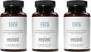 EGCG | ייצור תה ירוק | 400 מ"ג - תוספת אנטי-חמצן | טבעונית, גלוטן חינם | 100 קפסולות צמחוניות (Pack of 3)