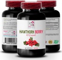 קפסולות פטל - HAWTHORN BERRIES EXTRACTCT - Hawthorn תמצית תוסף, hawthorn berry תמצית קפסולות, אבקת תמצית ברי, אנרגיית ברי פראי, כדורי אנרגיה hawthorn 1 בקבוק 60 קפסולות