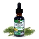 Nature's answer ל-אלכוהול חינם Horsetail Herb לחלץ תוסף, 1-Fluid Ounce