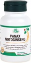 Panax Notoginseng Tablet - מערכת מחזורית בריאה