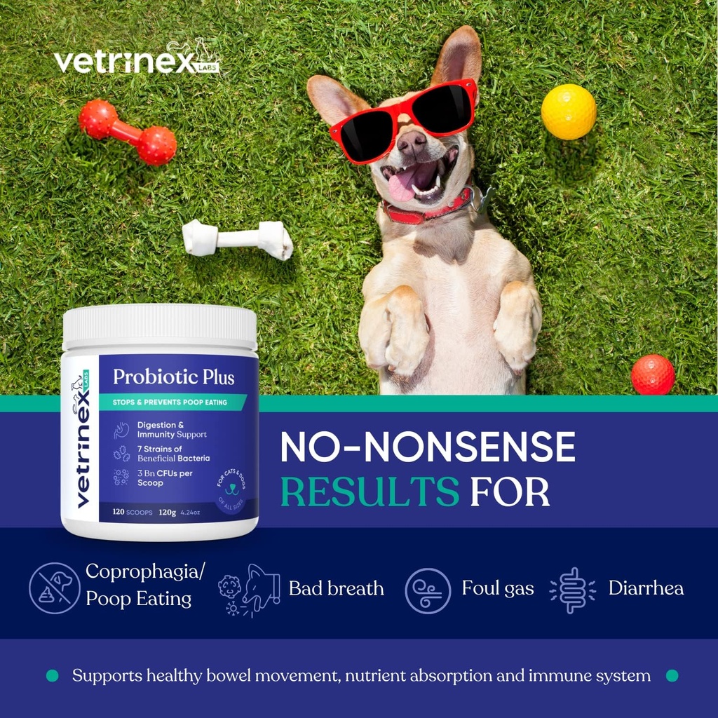 Coprophagia Poop אכילת Deterrent & Prevention, Stop & Prevent St אכילה טיפול - פרוביוטיקה לכלבים, חתולים ו Puppies - Forbids כלב מאכילת פופ - אבקת פרוביוטית (120 GMS)