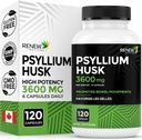 Renew Actives Psyllium Husk 1200MG לכל שתי קפסולות - Bulk-Forming Laxative & Soluble סיבים לבריאות העיכול, סדירות ובוגרות - Pure Ingredients - מיוצר בקנדה - 120 קפסולות