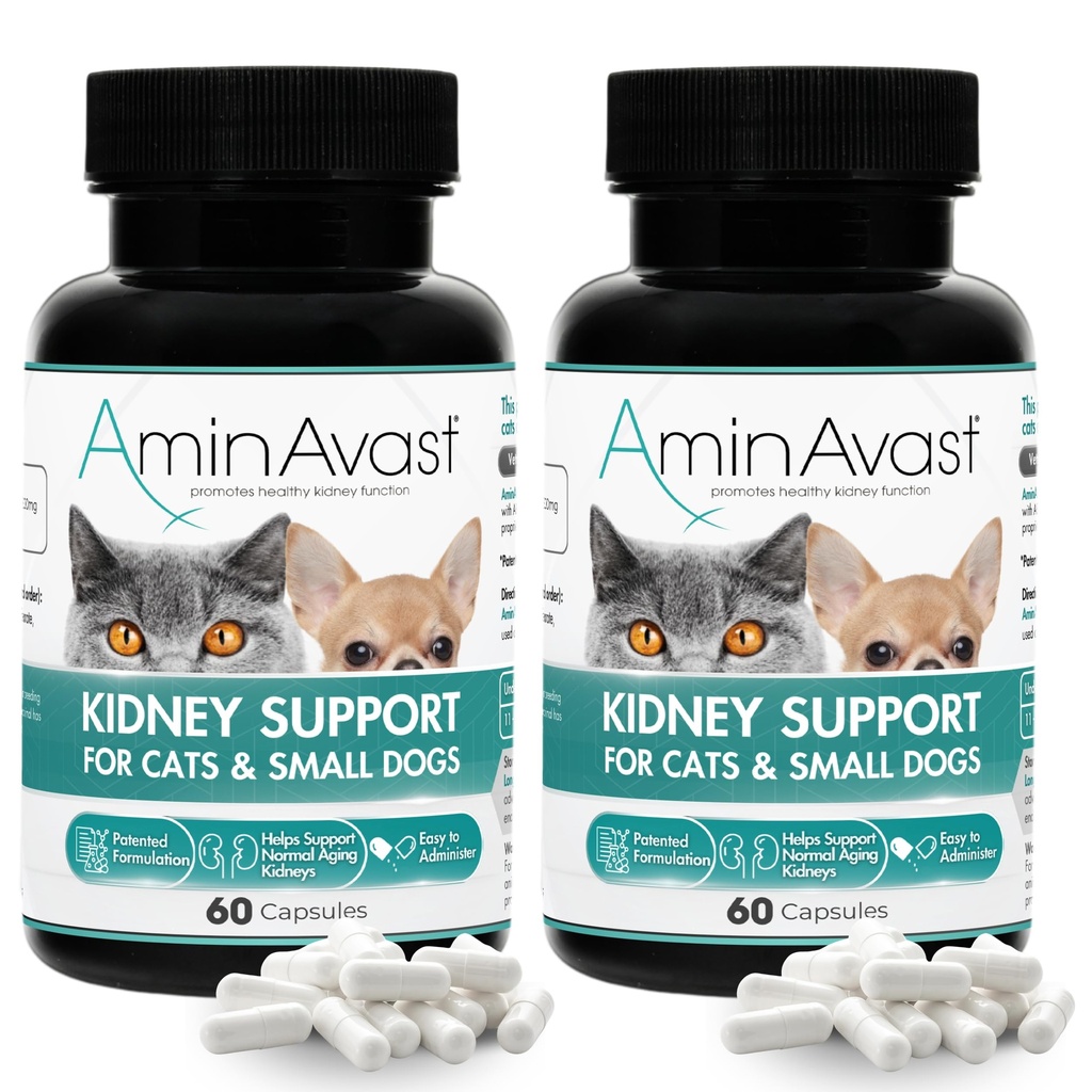 AminAvast Cat & Small Dog Kidney Support 300 mg Supplement, 60 Count 2-Pack