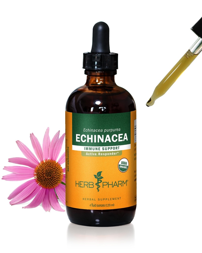 Herb Pharm מוסמך אורגני Echinacea שורש לחלץ תמיכה במערכת החיסון, אורגני Cane אלכוהול, 4 Ounce