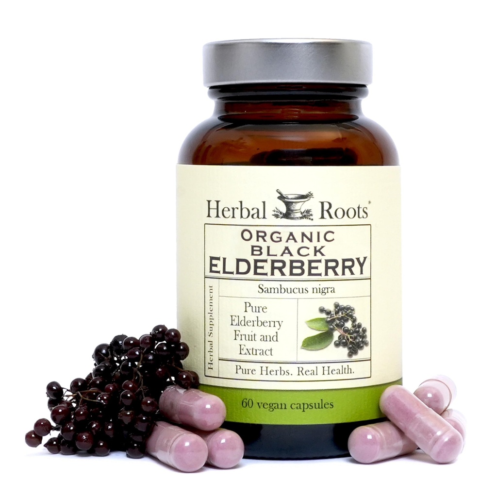 Herbal Roots אורגני Black Elderberry קפסולות | Max Power | Made with Organic Sambucus | 60 קפסולות טבעוניות