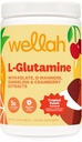 Wellah L-Glutamine אבקה טרופית Punch (50 משרתות) - 5g L-Glutamine Per המשרת, מתוקן עם Stevia