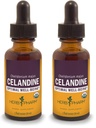 Herb Pharm מוסמך אורגני Celandine נוזל לחלץ - 1 Ounce (Pack של 2)