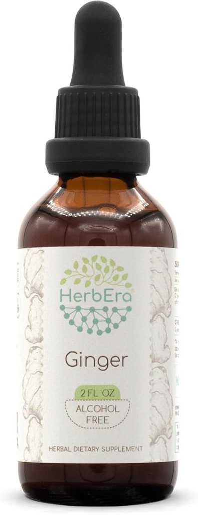 HerbEra ג'ינג'ר B60 אלכוהול-Free Herbal Extract Tincture, Super-Concentrated ג'ינג'ר (Zingiber officinale) 2 fl oz oz oz