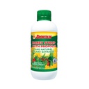 Broncolin Honey Syrup with Propolis, Syrup with Natural Plant לחלץ כדי מרעננים את הגרון שלך, רכיבים טבעיים, Elderberry, Eucalyptus, Peppert שמן, 11.4 Oz, בקבוק
