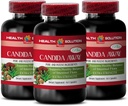 תוספת לתמיכה בתחמושת - Candida Away Plus - Candida Digestive - Candida Cleanse תוספת כוח - גלולת העיכול - Candida ניקויse עבור נשים וגברים - Candida Overgrowth - 3 בקבוקים 180 קפסולות 180