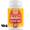 2000 MG NAD תוסף, Liposomal NAD+ עם Absorption גבוהה, יותר יעיל מאשר Nicotinamide Riboside, Pure & Plus Boosting תוסף, Aging Defense, Metabolism & cell, 60 רציפים
