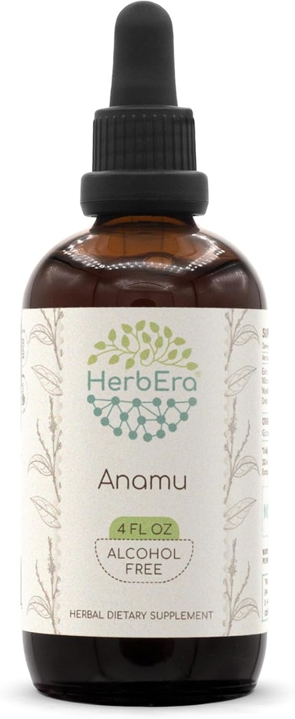 HerbEra Anamu B120 Alcohol-Free Herbal Extract Tincture, Wildcrafted Jamaican Guinea Hen Weed (Petiveria Alliacea) Dried Herb (4 fl oz)