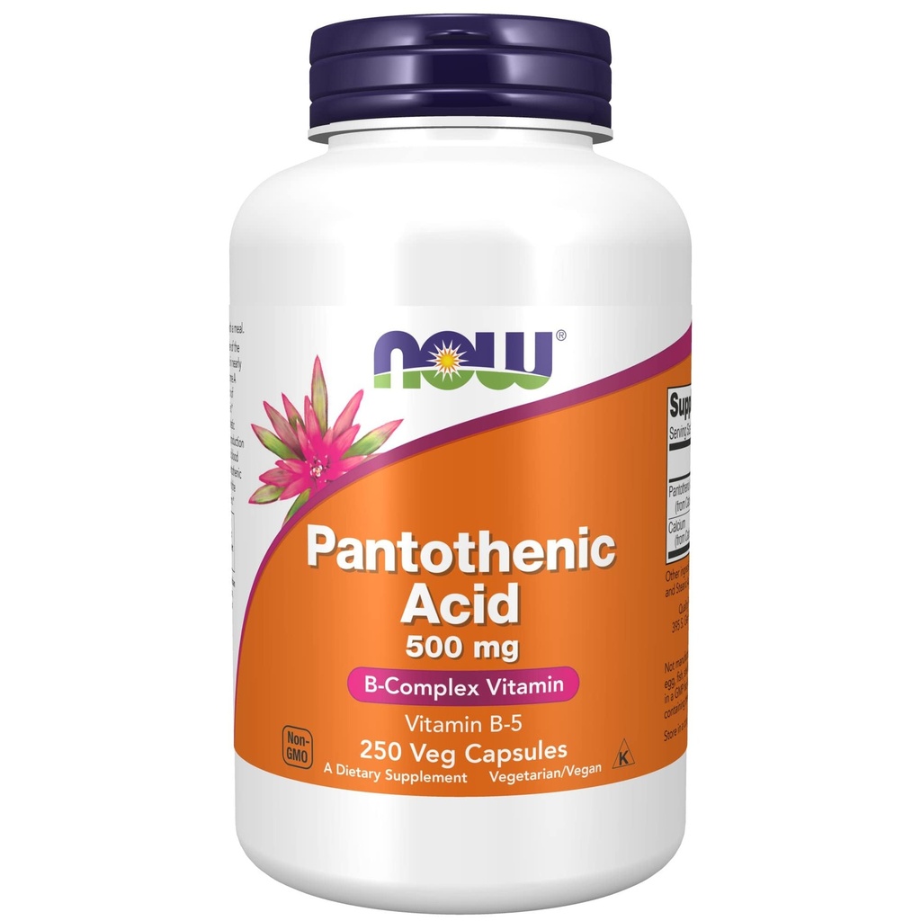 תוספי מזון עכשיו, Pantothenic Acid (Vitamin B-5) 500 מ"ג, B-Complex ויטמין, 250 קפסולות