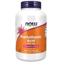 תוספי מזון עכשיו, Pantothenic Acid (Vitamin B-5) 500 מ"ג, B-Complex ויטמין, 250 קפסולות