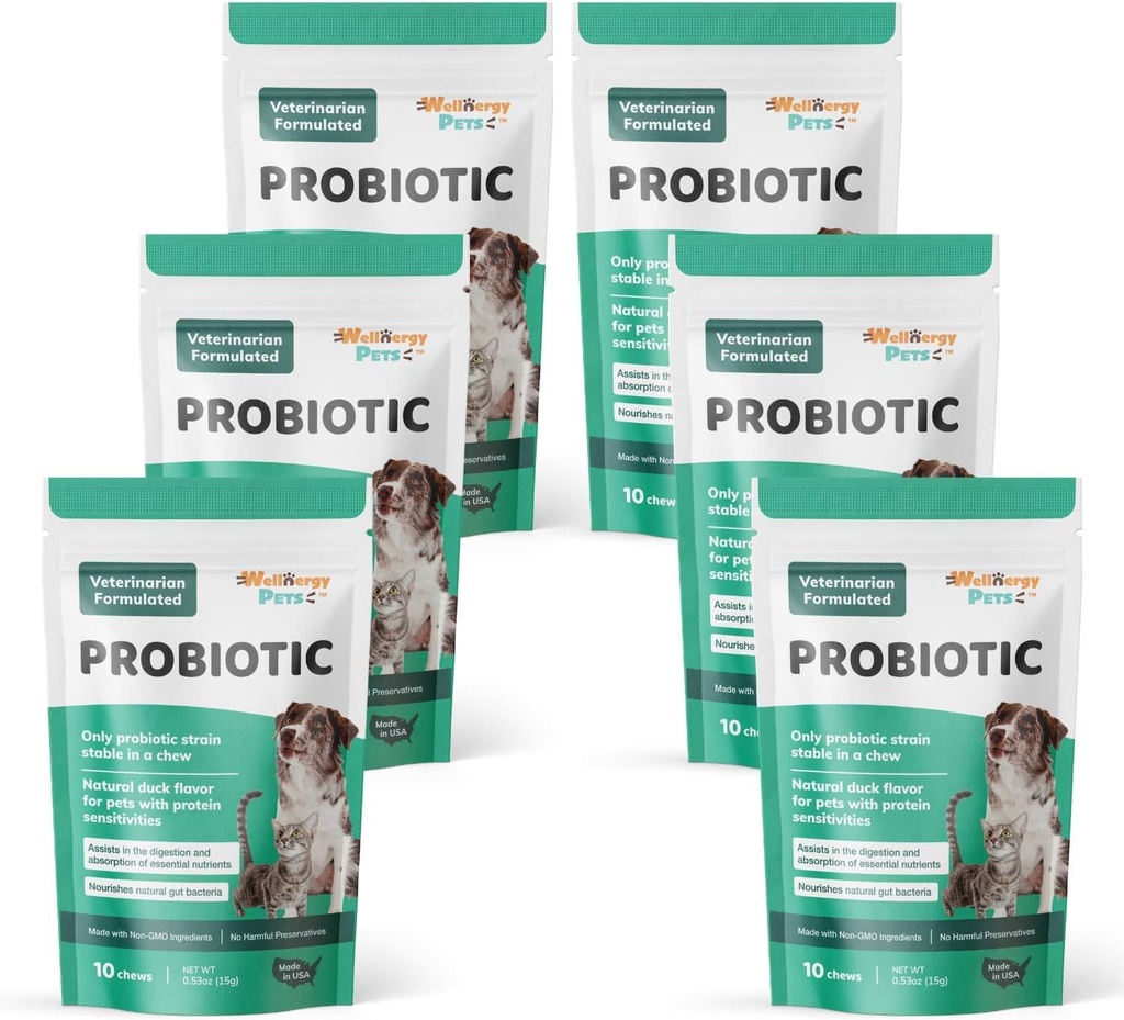 Wellnergy Daily Probiotic & Prebiotics Soft Chew for Dogs & Cats - תמיכה תזונתית עבור Dihilhea, Constipation, Upset Stomach, Indigestion & Gas - Helps Digest, Allergy & Immune Health 60ct 60ct