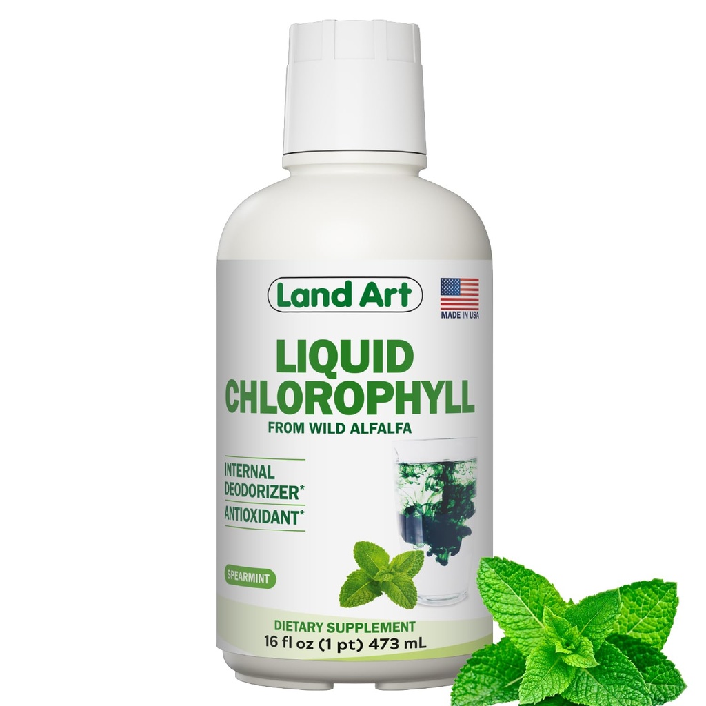אמנות הקרקע - נוזל Chlorophyll Mint - Cold-Ex המורחבת מ Wild non-GMO אלפאlfa - Natural Clorofila נוזלa - Antioxidant - Detox - Boost Energy - Alkalizing & Body Odor Neutralizer - 16 flozoxidant - אנטיoxidant - תוסף Detox - Boost Energy - Alkalizing & Body Odor Neutralizer