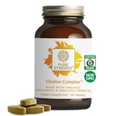 PURE SYNERGY Choline Complex | תוסף טבעוני המיוצר עם מזונות אורגניים שלמים | Non-GMO Bioavailable Complex | הריון, מוח, בריאות Liver (60 טבליות)