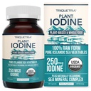 תוספי Iodine אורגניים של תרכובת ירקות ים, Whole Food & Raw - Iodine Plus Trace מינרלים Complex - מכיל Purest איסלנד הים Kelp, Irish Mos & Bladderwrack (250 mcg)