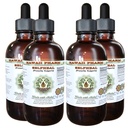 תמצית נוזלית ללא אלכוהול עצמי, אורגני selfheal (Prunella Vulgaris) Dried Herb Glycerite טבעי צמחי מרפא, הוואי Pharm, ארה"ב 4x4 fl.oz