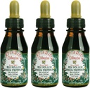 3 בקבוקי Apiario Silvestre Bee Pollen & ברזיל ירוק Bee Propolis נוזל - תמצית Glycolic ללא אלכוהולic, Wax חינם, סוכר חינם